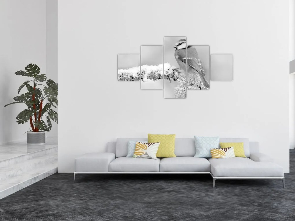Obraz - Ptak na gałęzi (125x70 cm)
