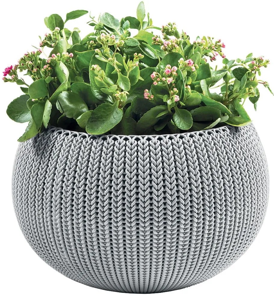 Plastikowa wisząca i ścienna doniczka ø 36 cm Cozy – Keter