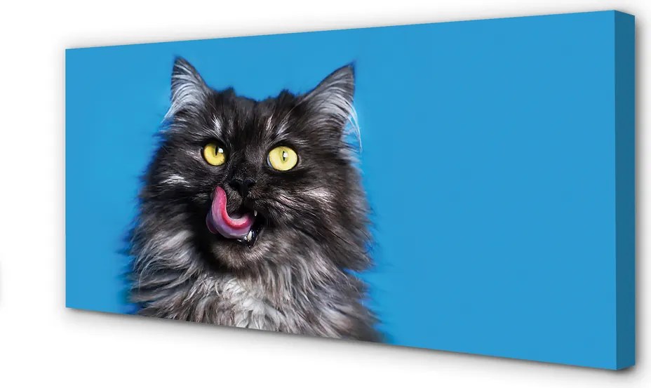 Fotoobraz na płótnie Smakosz: Oblizujący się Kot