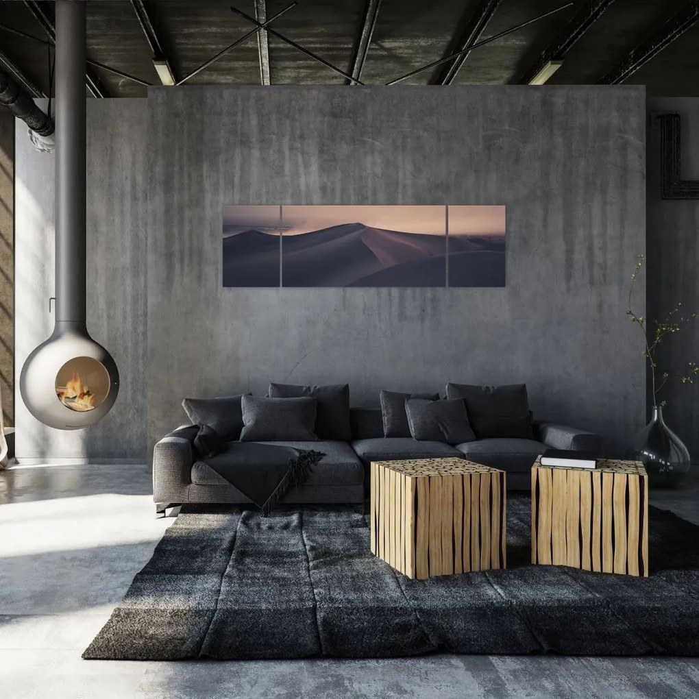 Obraz - Wydmy piaskowe (170x50 cm)