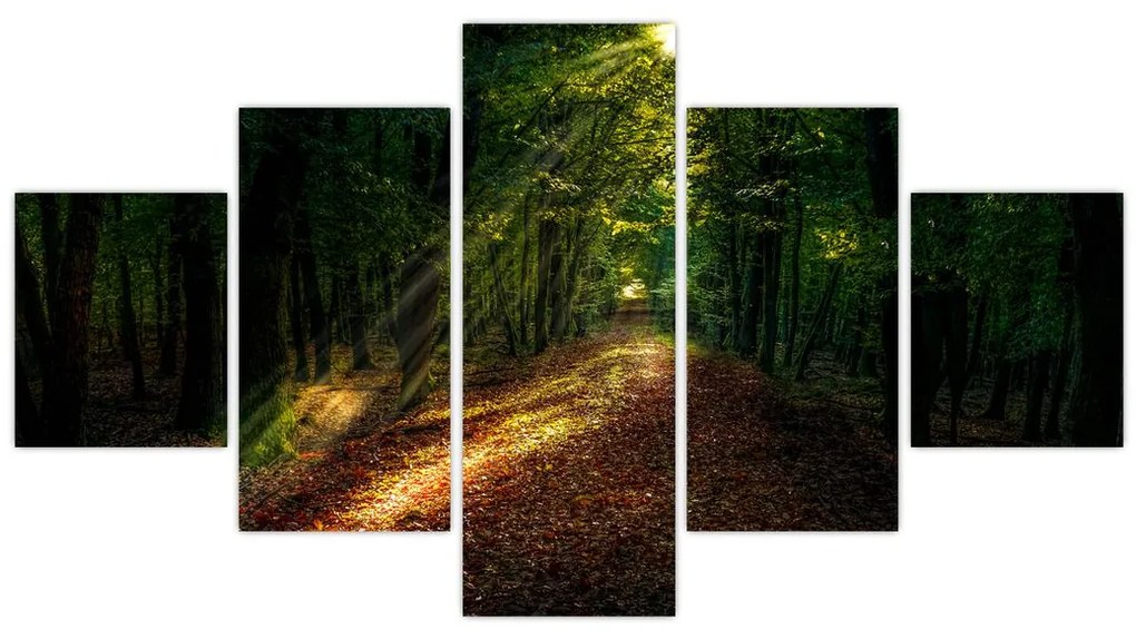 Obraz leśnej ścieżki (125x70 cm)