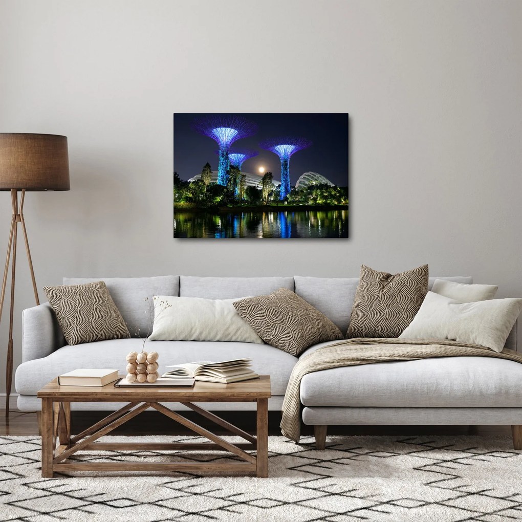Obraz przedstawiający pełnię księżyca w ogrodach Singapuru (70x50 cm)