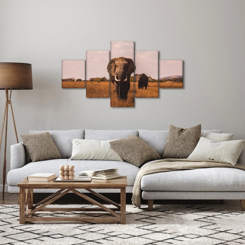 Obraz - Przybycie słonia (125x70 cm)