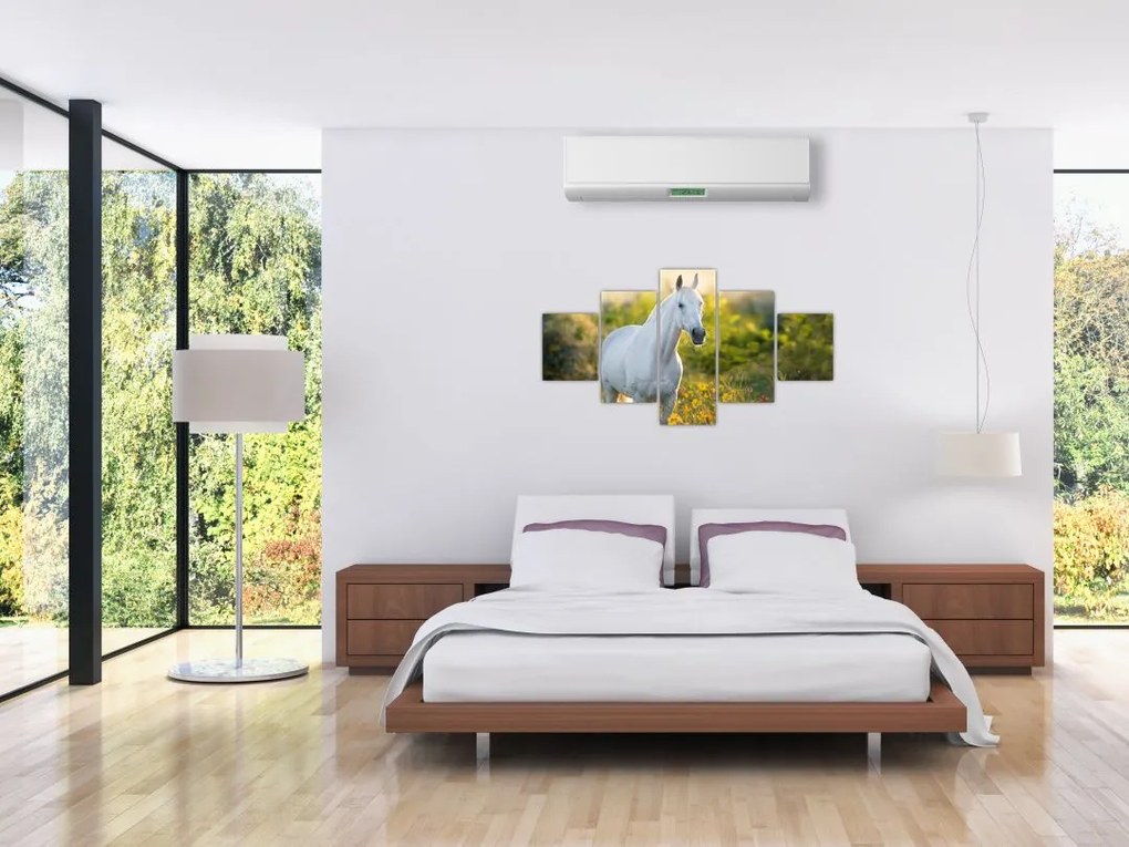 Obraz białego konia na łące (125x70 cm)
