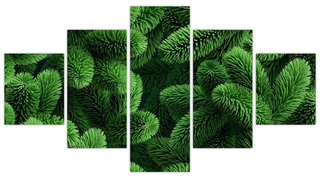Obraz - Gałązki drzew iglastych (125x70 cm)