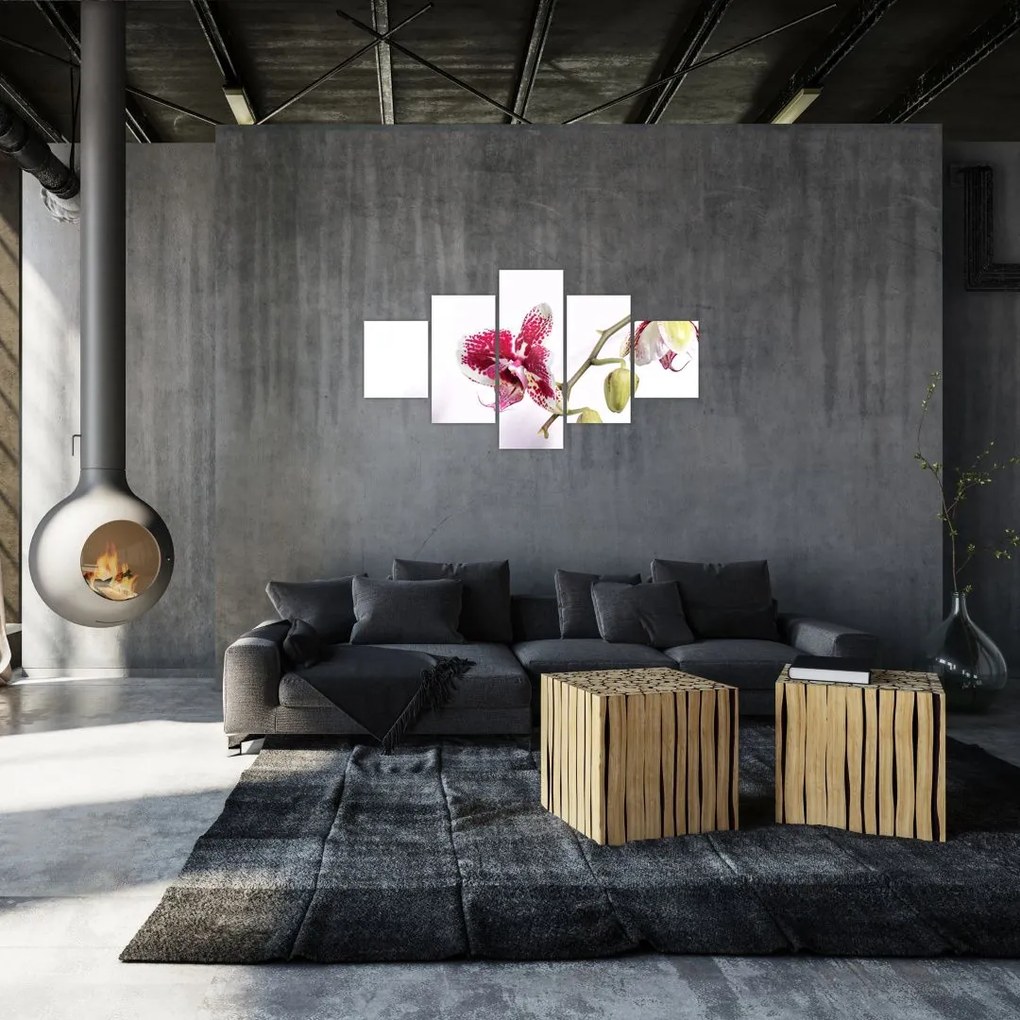 Obraz kwiatu orchidei (125x70 cm)
