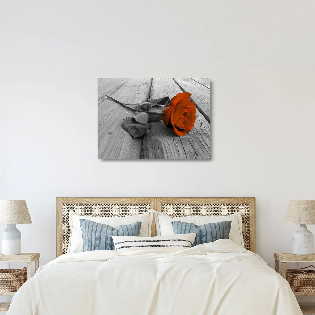 Obraz na szkle - Pomarańczowa róża (70x50 cm)