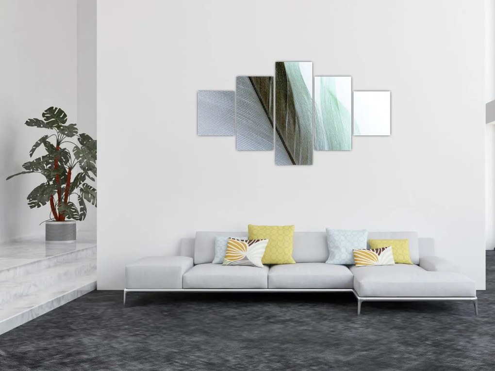 Obraz - Pióra, makro (125x70 cm)