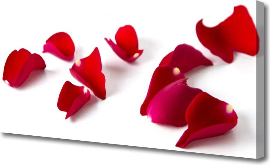 Obraz canvas Makro Płatków Kwiatowych