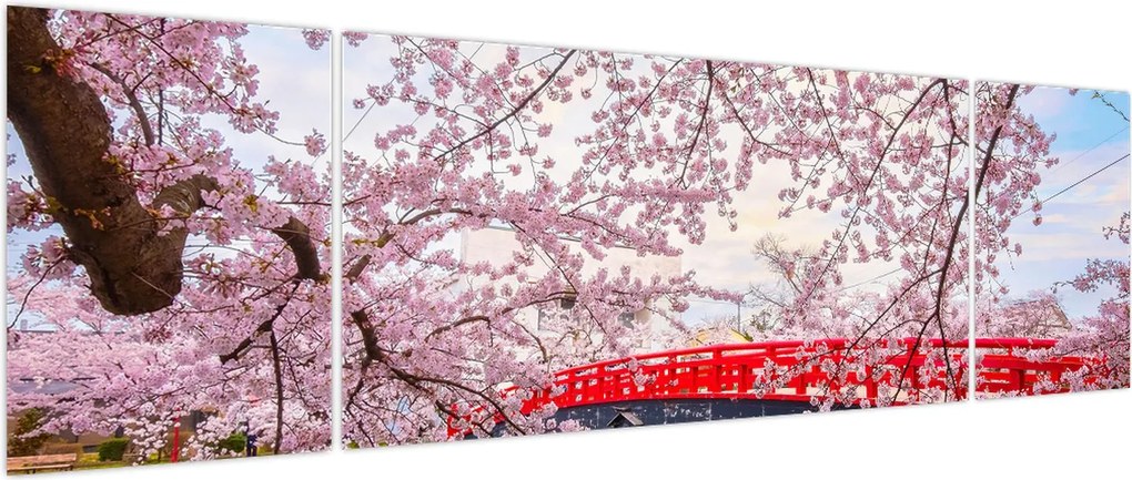 Obraz - Hirosaki, Japonia (170x50 cm)