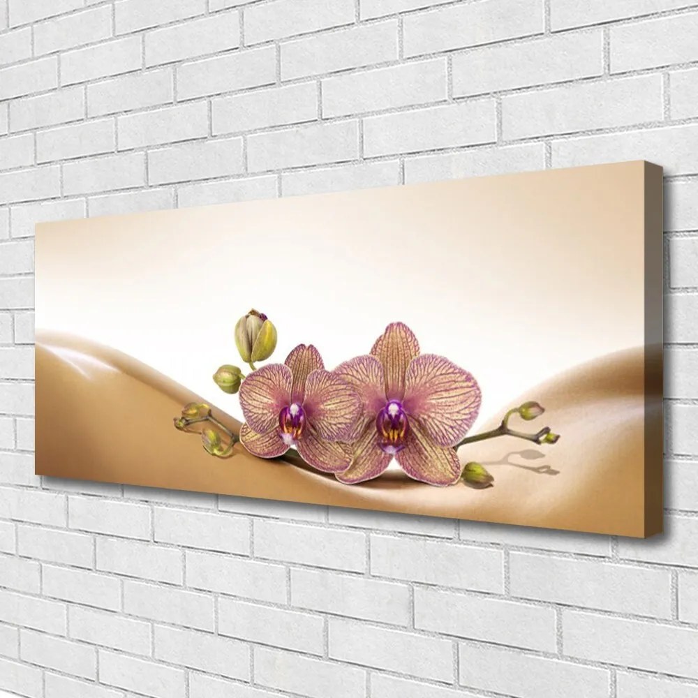 Obraz na płótnie Drzewa w Porannym Słońcu