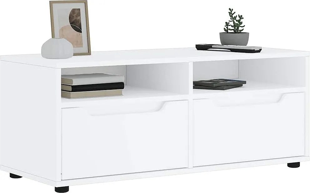 Mebel TV VISNES Biały 100x40x38 cm z Drewna Inżynieryjnego z Przechowywaniem i Montażem na Ścianie