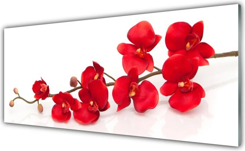 Panel Szklany do Kuchni Klasyczny Motyw Botaniczny