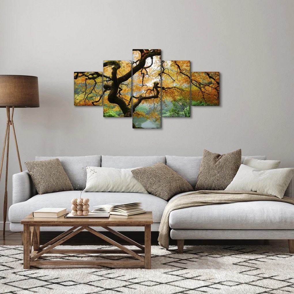 Obraz żółtego klonu japońskiego, Portland, Oregon (125x70 cm)