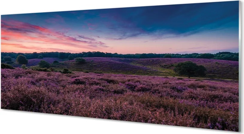 Panel Kuchenny Szklany Pejzaż z Wrzosami