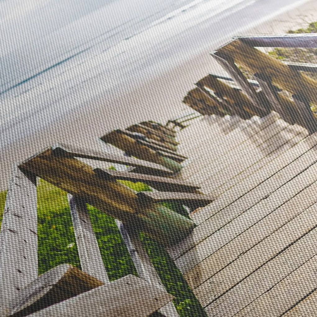 Obraz - Wejście na plażę (170x50 cm)