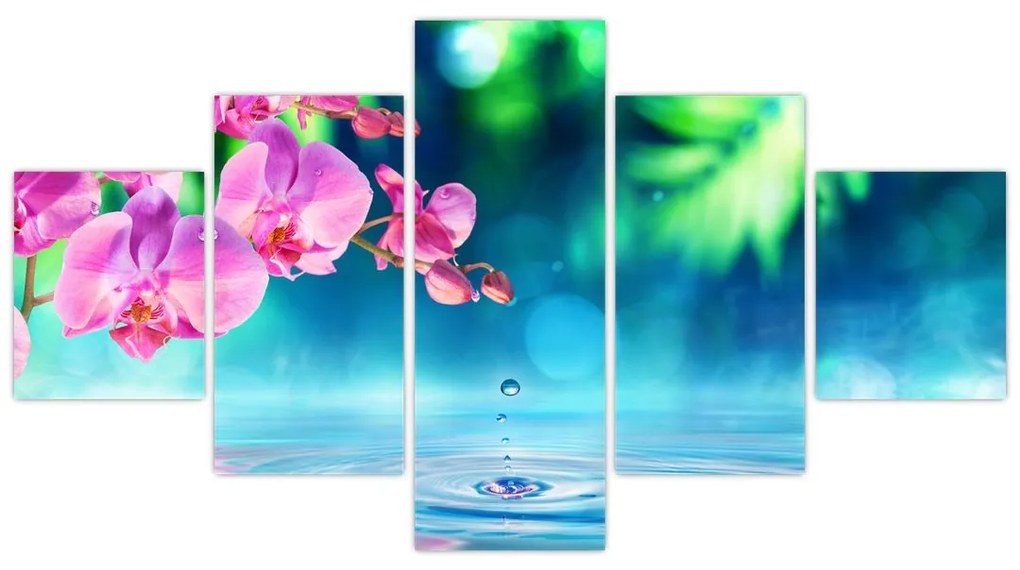 Obraz - Orchidea (125x70 cm)
