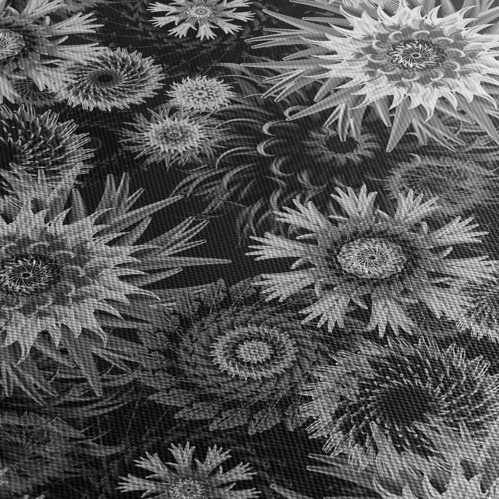 Obraz - Czarne i białe osty (170x50 cm)