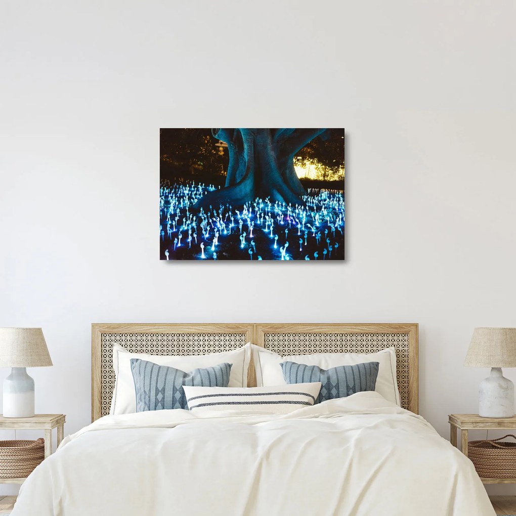 Obraz na szkle - Magiczne drzewo (70x50 cm)