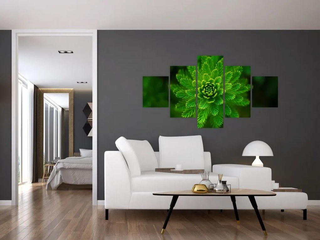 Obraz drzewa iglastego (125x70 cm)