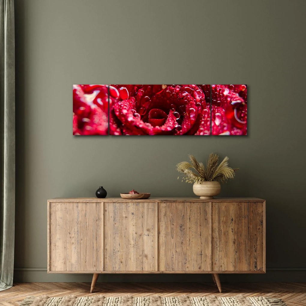 Obraz czerwonego kwiatu róży (170x50 cm)