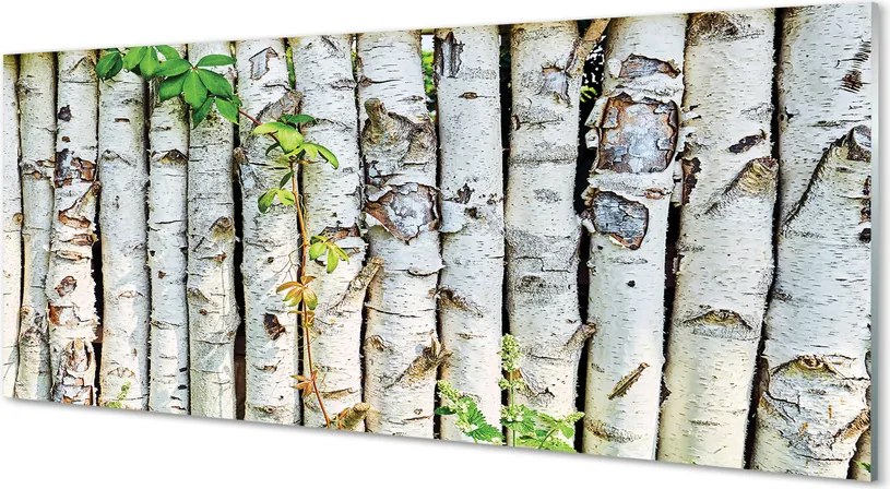 Panel szklany do Kuchni Zielone Liście Brzozy