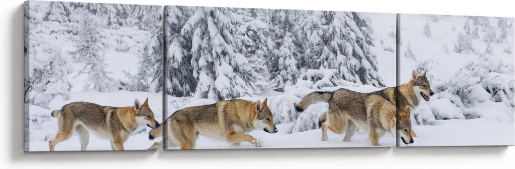 Obraz - Wilki w górach (170x50 cm)