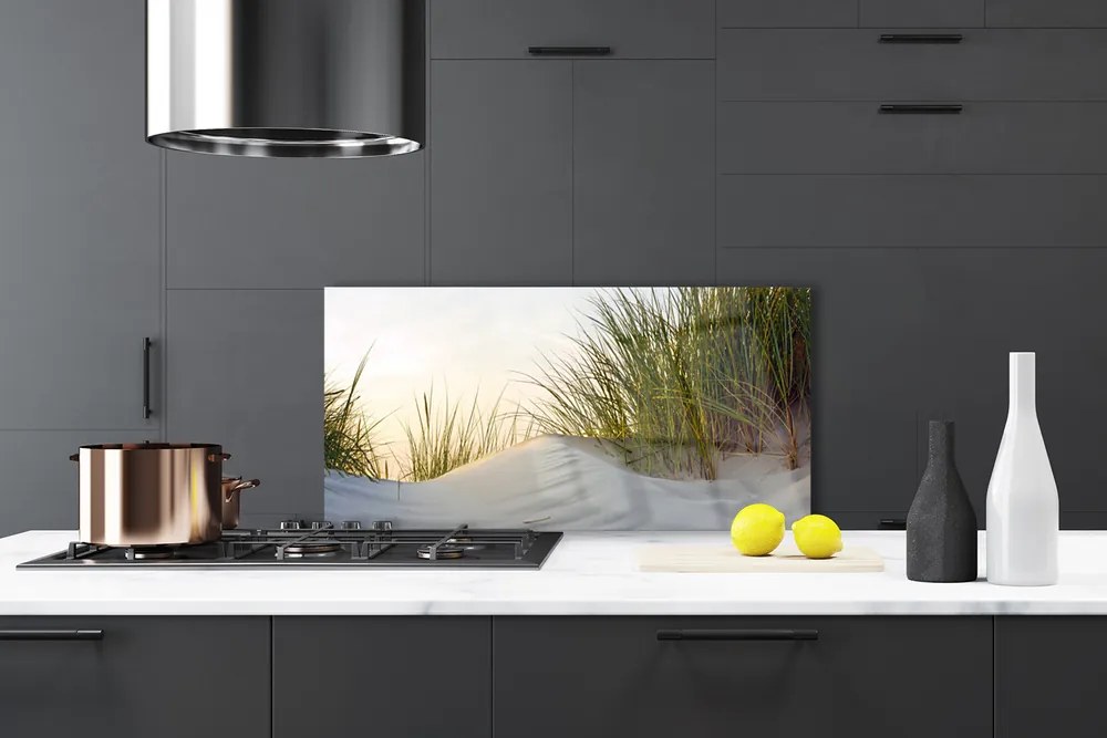 Panel Szklany Wydmy Piaszczyste I Trawy