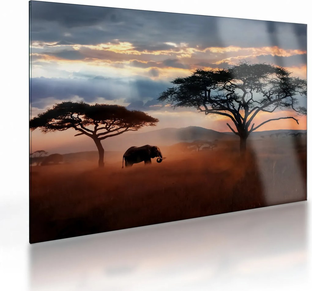 Obraz na szkle - Park Narodowy Serengeti, Tanzania, Afryka (70x50 cm)