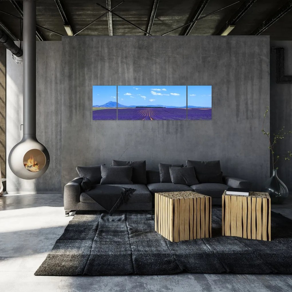 Obraz - Pole lawendy (170x50 cm)