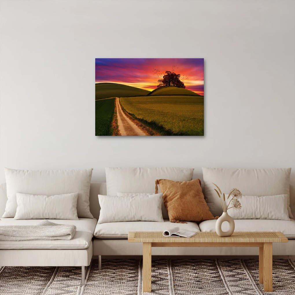 Obraz pola z zachodem słońca (70x50 cm)