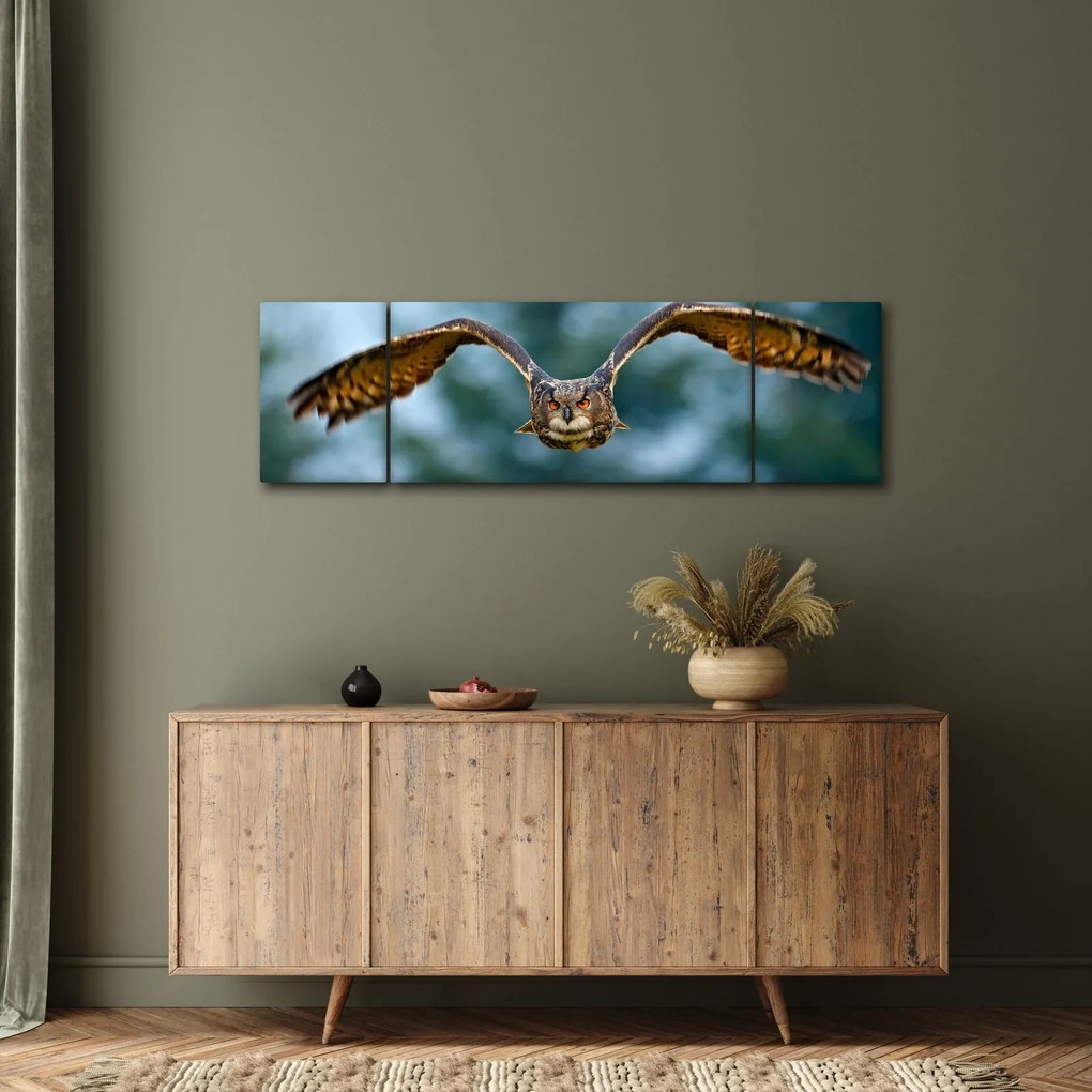 Obraz - Sowa w locie (170x50 cm)