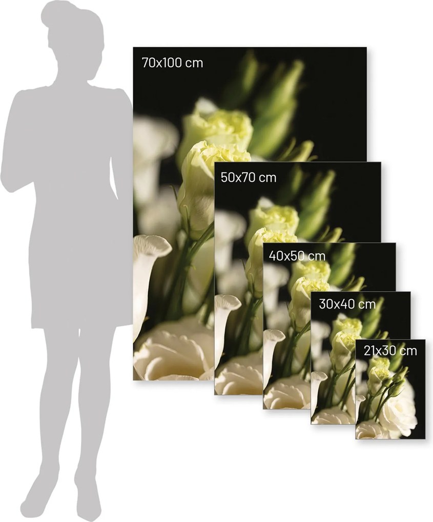 Plakat Dark Flowers I
