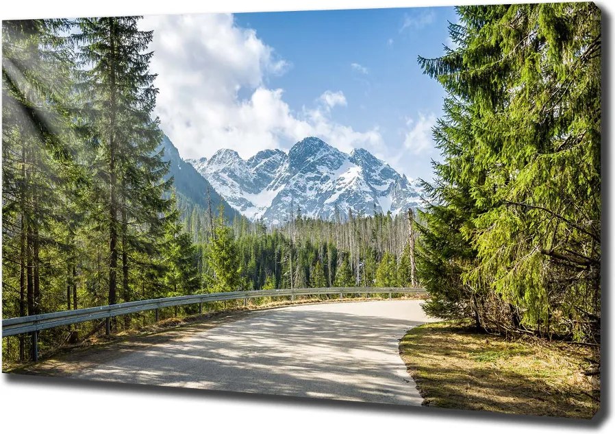 Foto obraz canvas Droga Tatry
