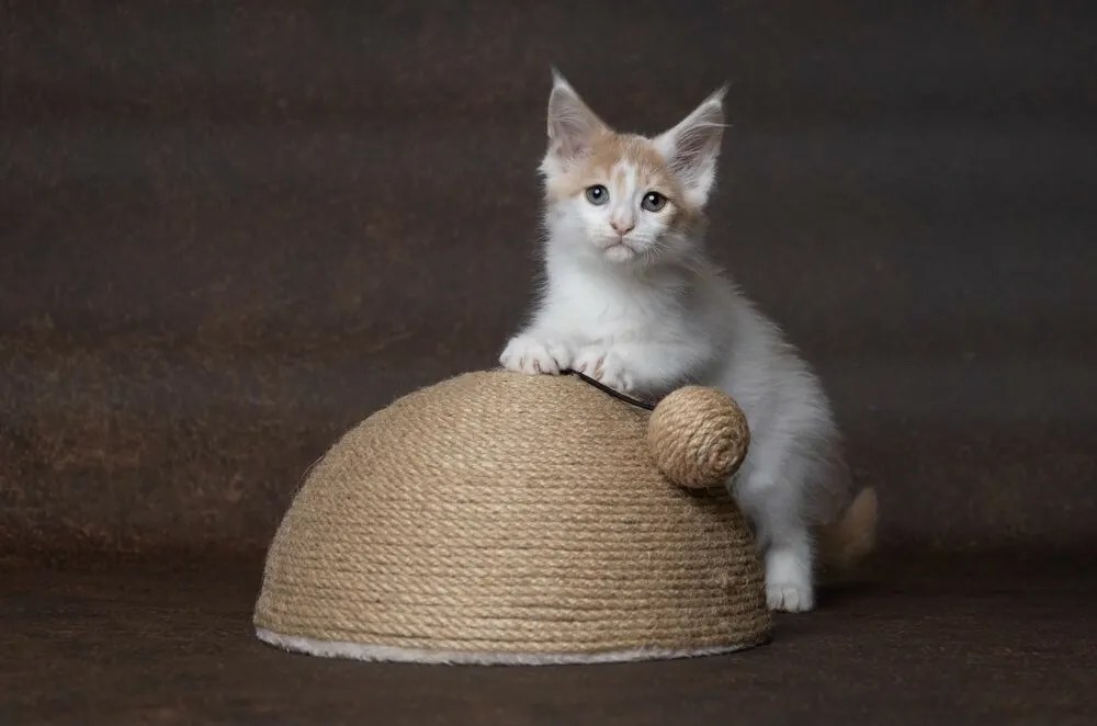 Flamingo Veda Drapak dla kotów, 26 x 14 x 26 cm