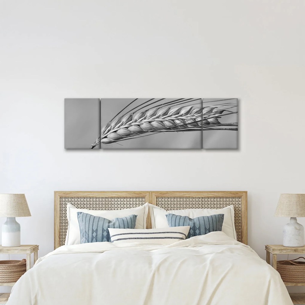 Obraz - Pszenica, czarno - biały (170x50 cm)