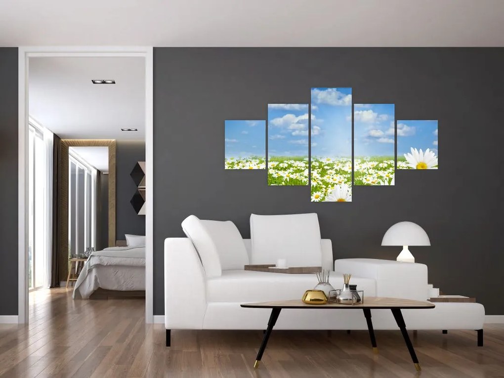 Obraz kwitnącej łąki ze stokrotkami (125x70 cm)