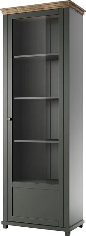 Witryna EVORA 1D zielona mat/dąb lefkas prawa