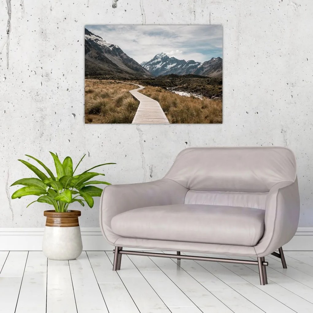Obraz na szkle - Chodnik w dolinie góry Mt. Cook (70x50 cm)
