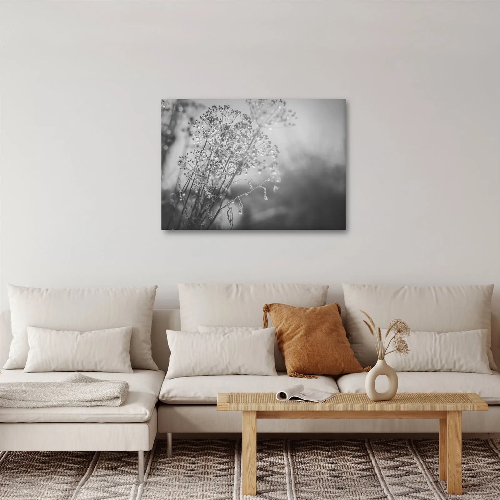 Obraz - Łąka po deszczu (70x50 cm)
