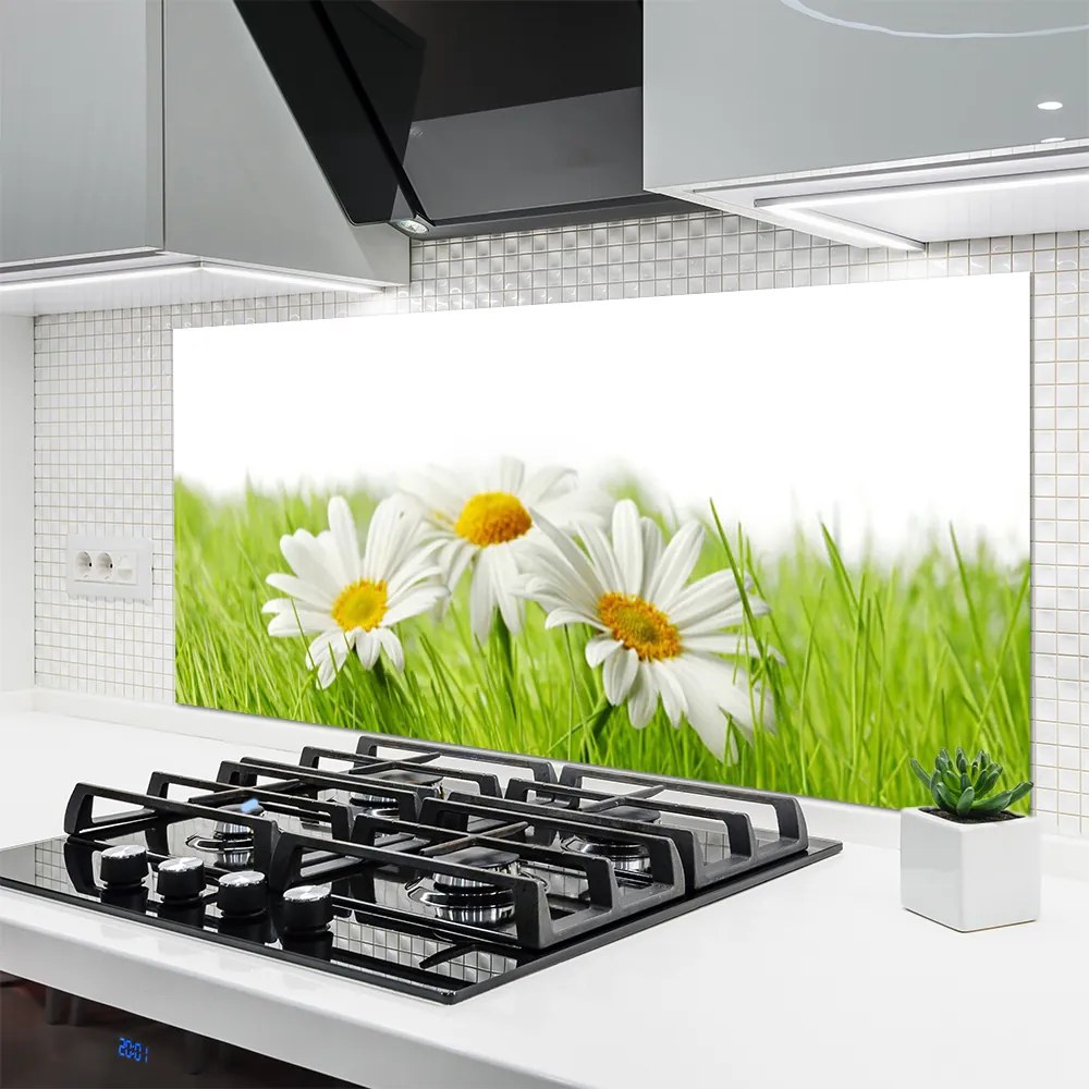 Panel Szklany do Kuchni Białe Stokrotki w Zieleni