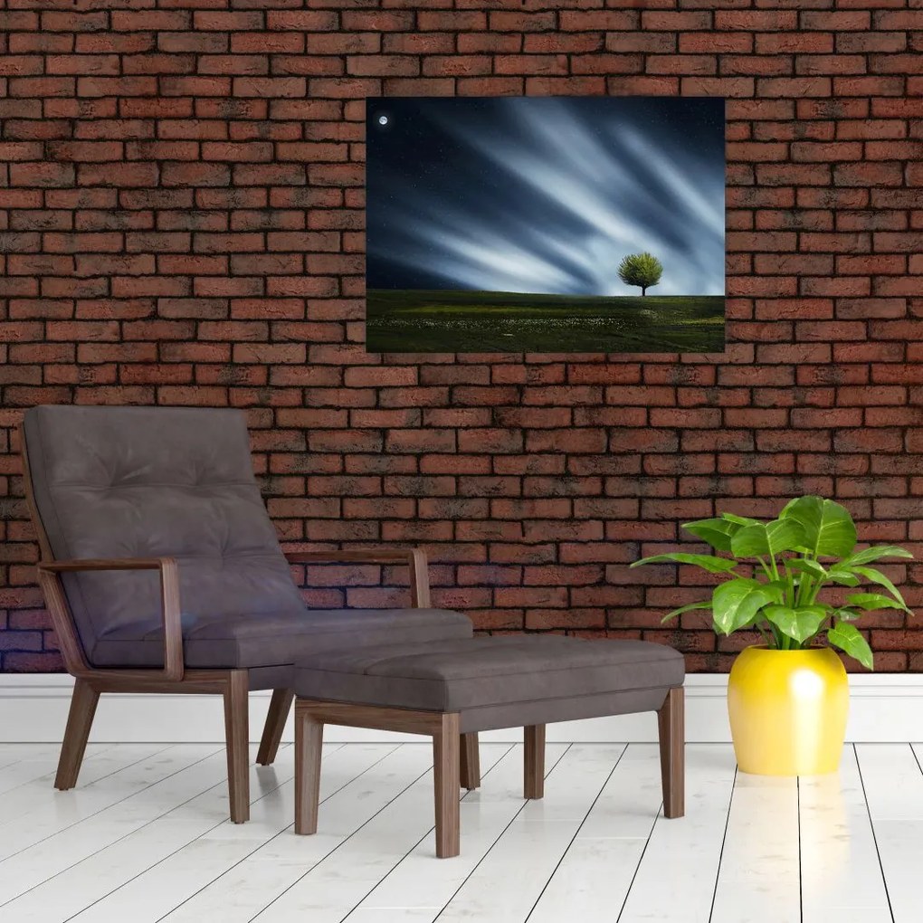 Obraz zorzy polarnej nad wrzosowiskami (70x50 cm)