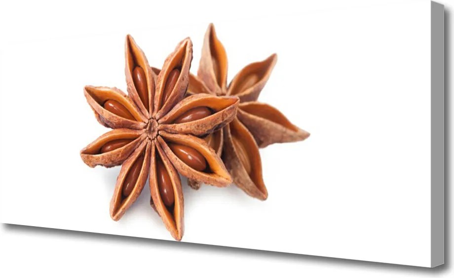 Fotoobraz na płótnie Aromat Gwieździstego Anyżu