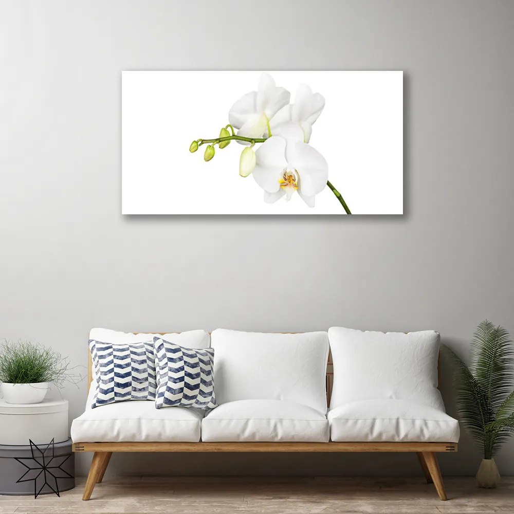 Obraz Canvas Orchidea Kwiaty Natura