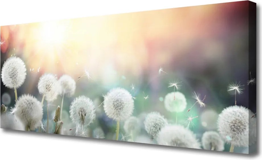 Obraz canvas Lekkość Polnych Dmuchawców