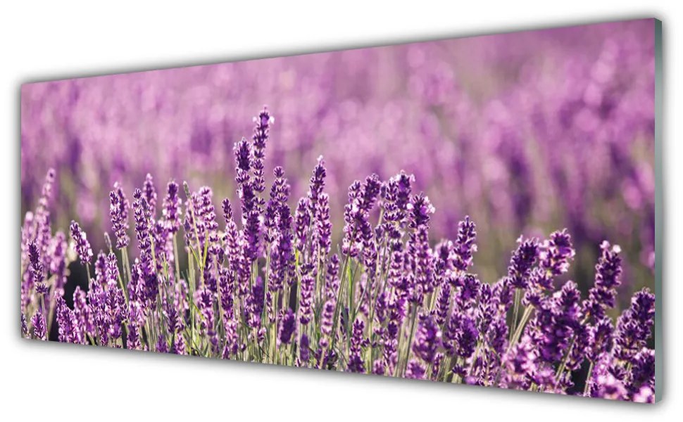 Panel Szklany Kwiaty Roślina Natura