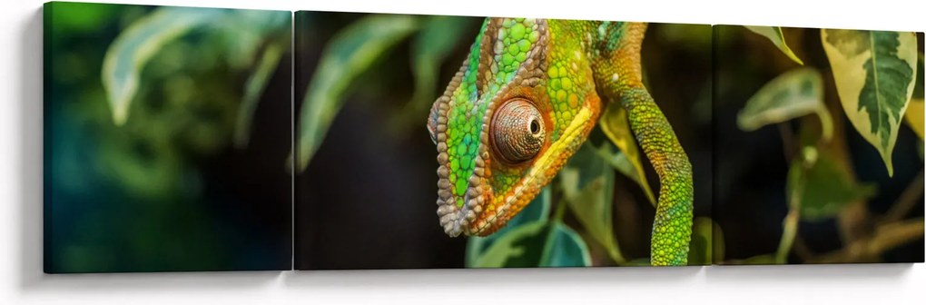 Obraz kameleona (170x50 cm)