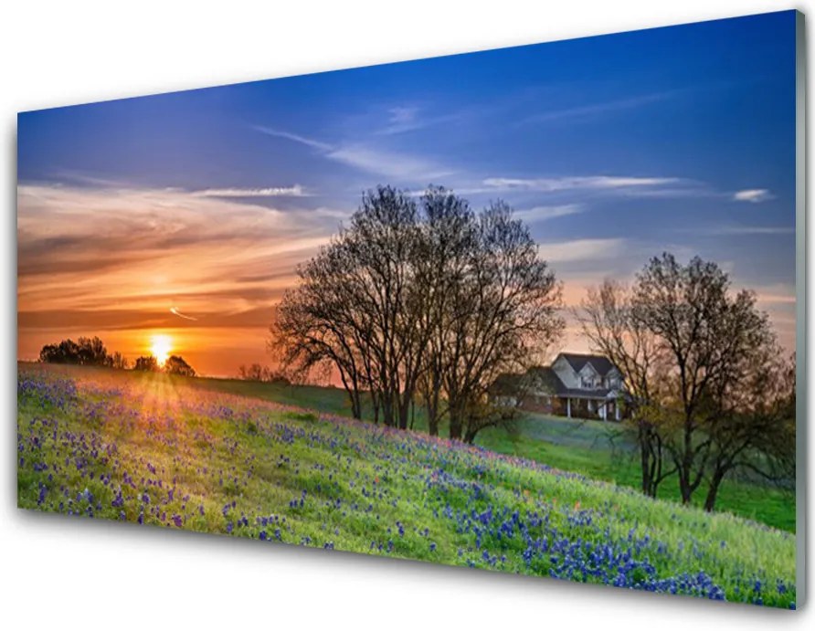 Panel Szklany Słoneczna Polana o Poranku