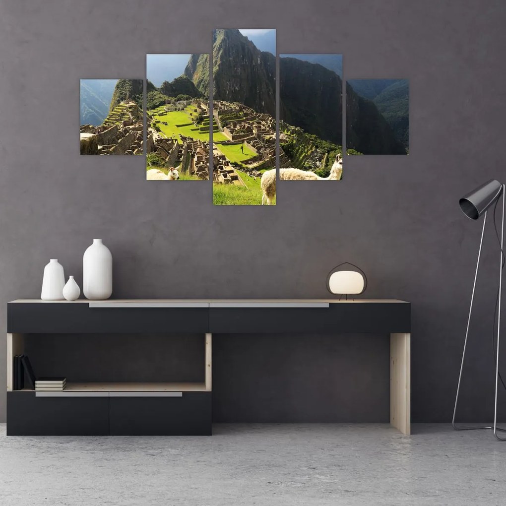 Obraz - Lamy na Machu Picchu (125x70 cm)