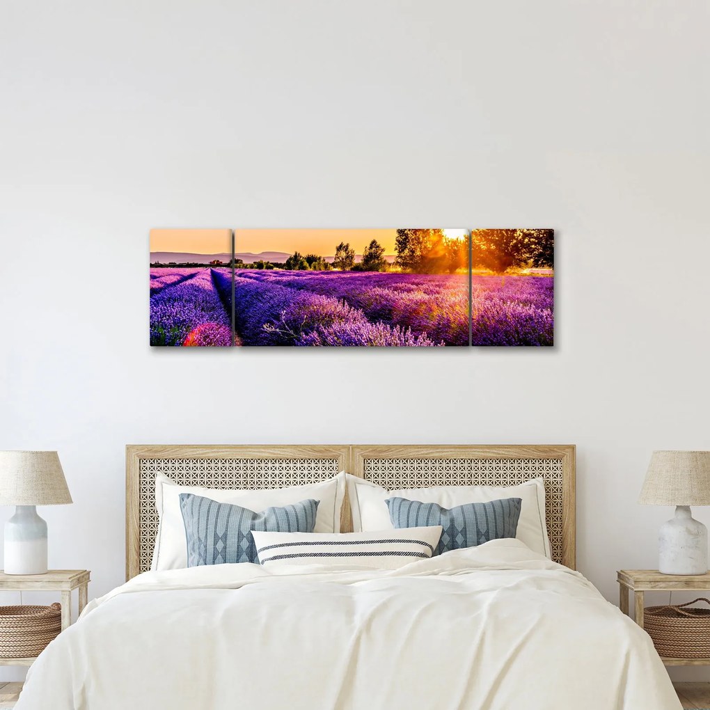 Obraz lawendowego pola (170x50 cm)
